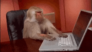 Coding GIF - Find & Share on GIPHY