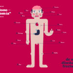 Autonomatomía de un diseñador freelance