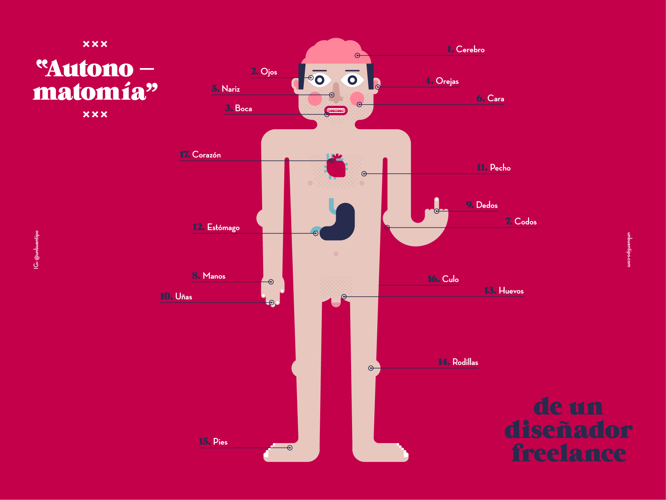 Autonomatomía de un diseñador freelance